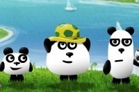 3 Pandy w Brazylii 3 Pandy w Brazylii