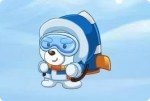Mis Polarny Bob Mis Polarny Bob